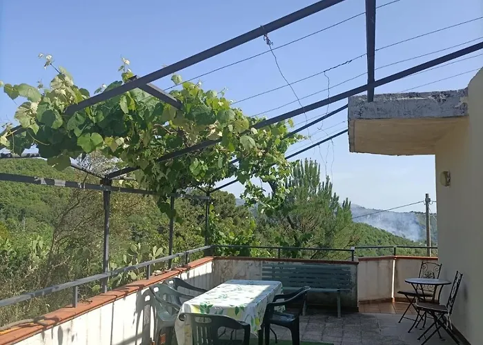 Casa In Collina Di Orti'- Reggio Cal Apartamento